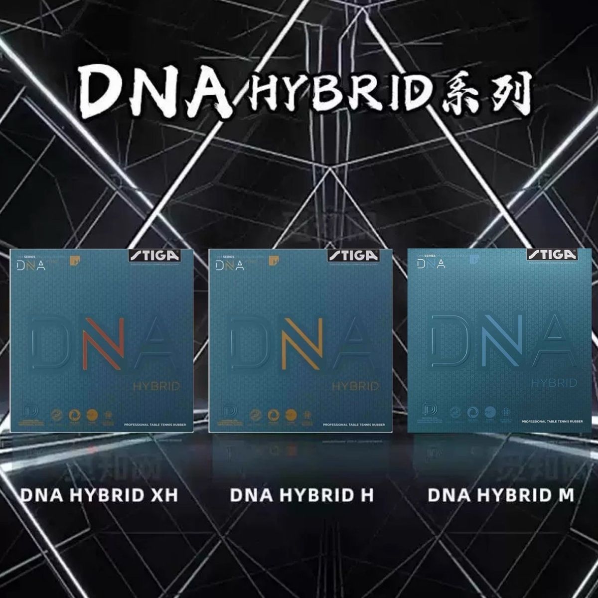 Authentic STIGA Hybrid DNA M T - đánh giá và giá Table Tennis Hybrid Rubbers