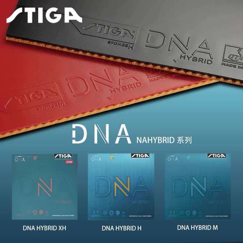 Authentic STIGA Hybrid DNA M T - đánh giá và giá Table Tennis Hybrid Rubbers