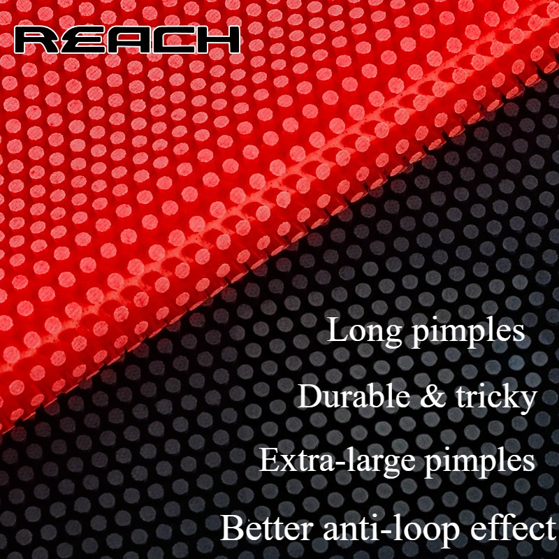 Reach C-8 C-801 Table-tennis R - đánh giá và giá Table Tennis Market
