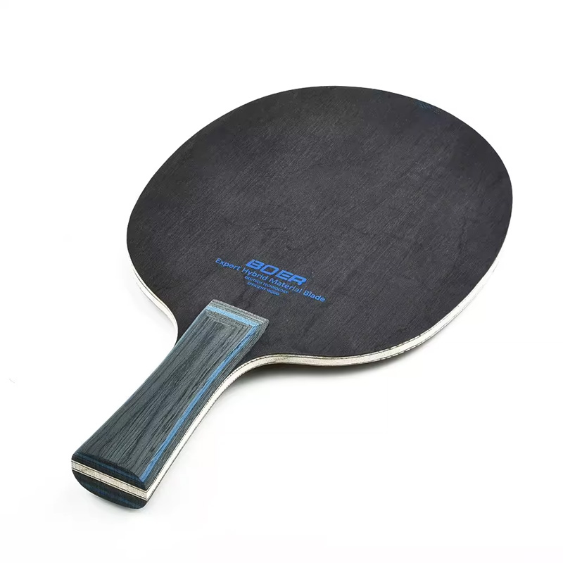 Original BOER LION Table Tenni - đánh giá và giá Table Tennis Vr